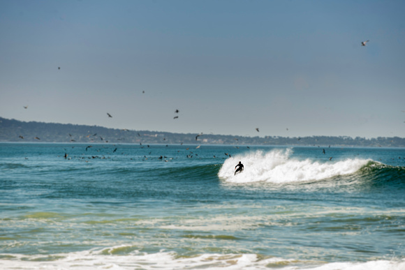 Surfer ( Reservation Beach, CA.)